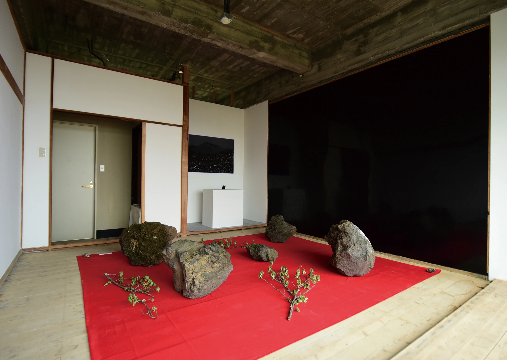 Installation view of Domestic Jealousy, 2017