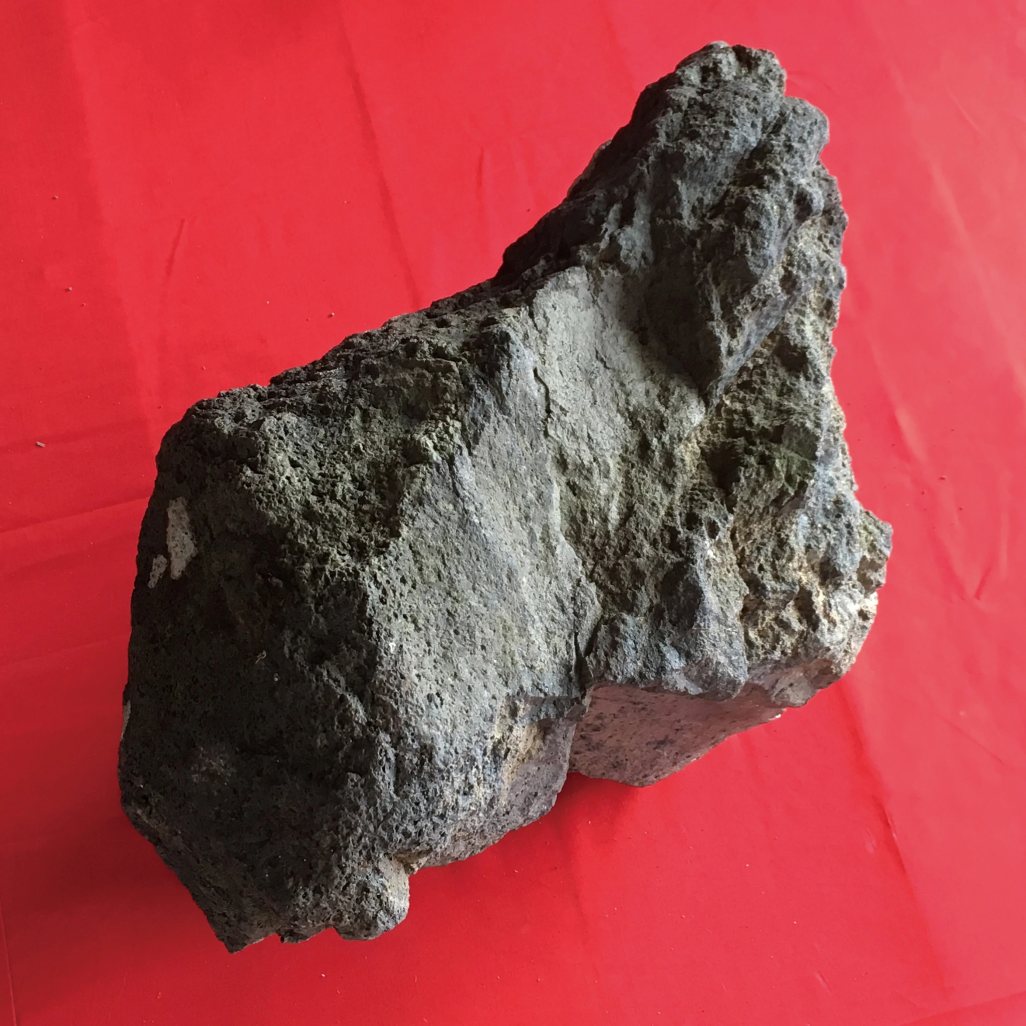 Volcanic rock detail in Domestic Jealousy