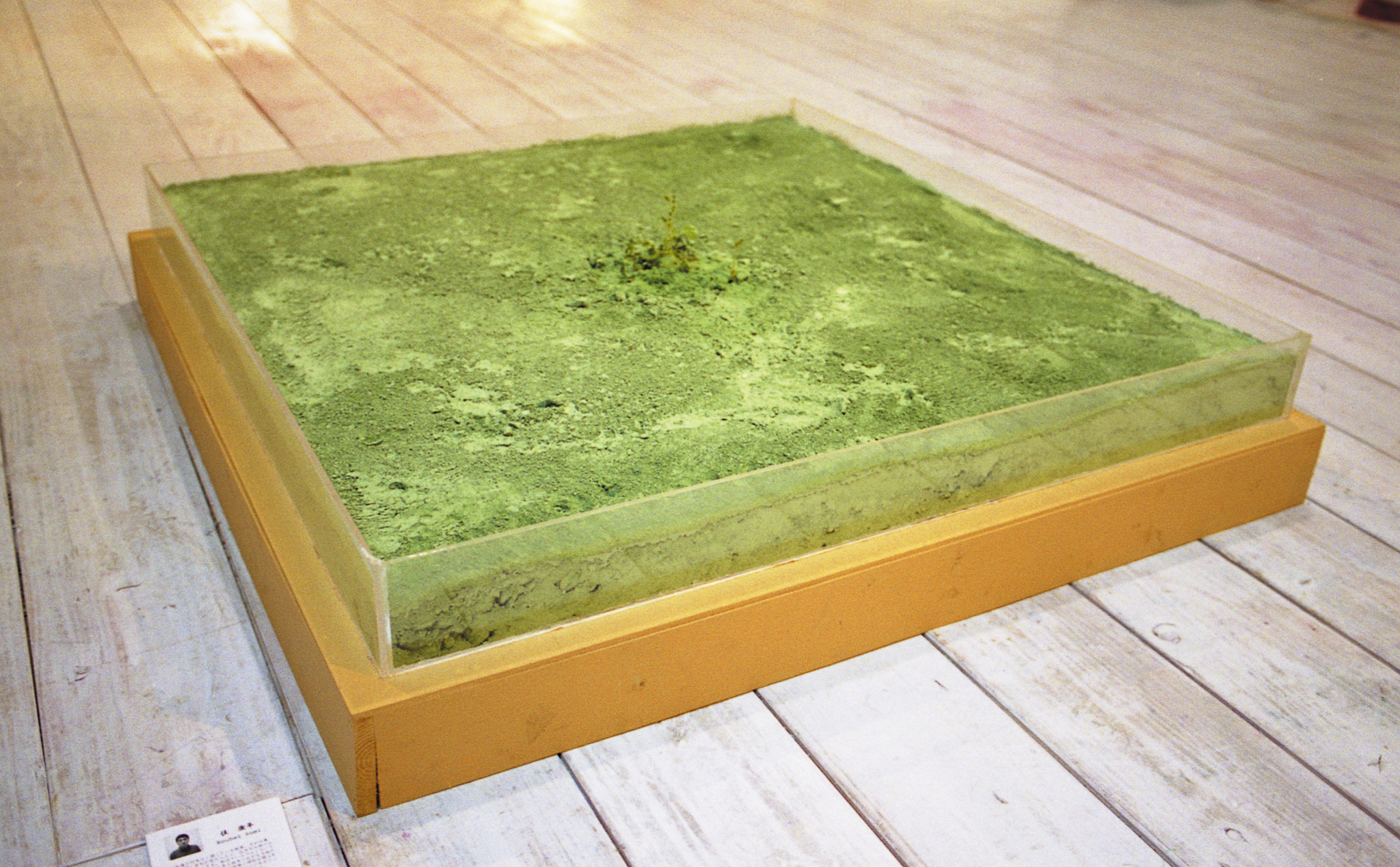 Overall view of Midori no Daichi, showing a low square field-like form with a transparent cover