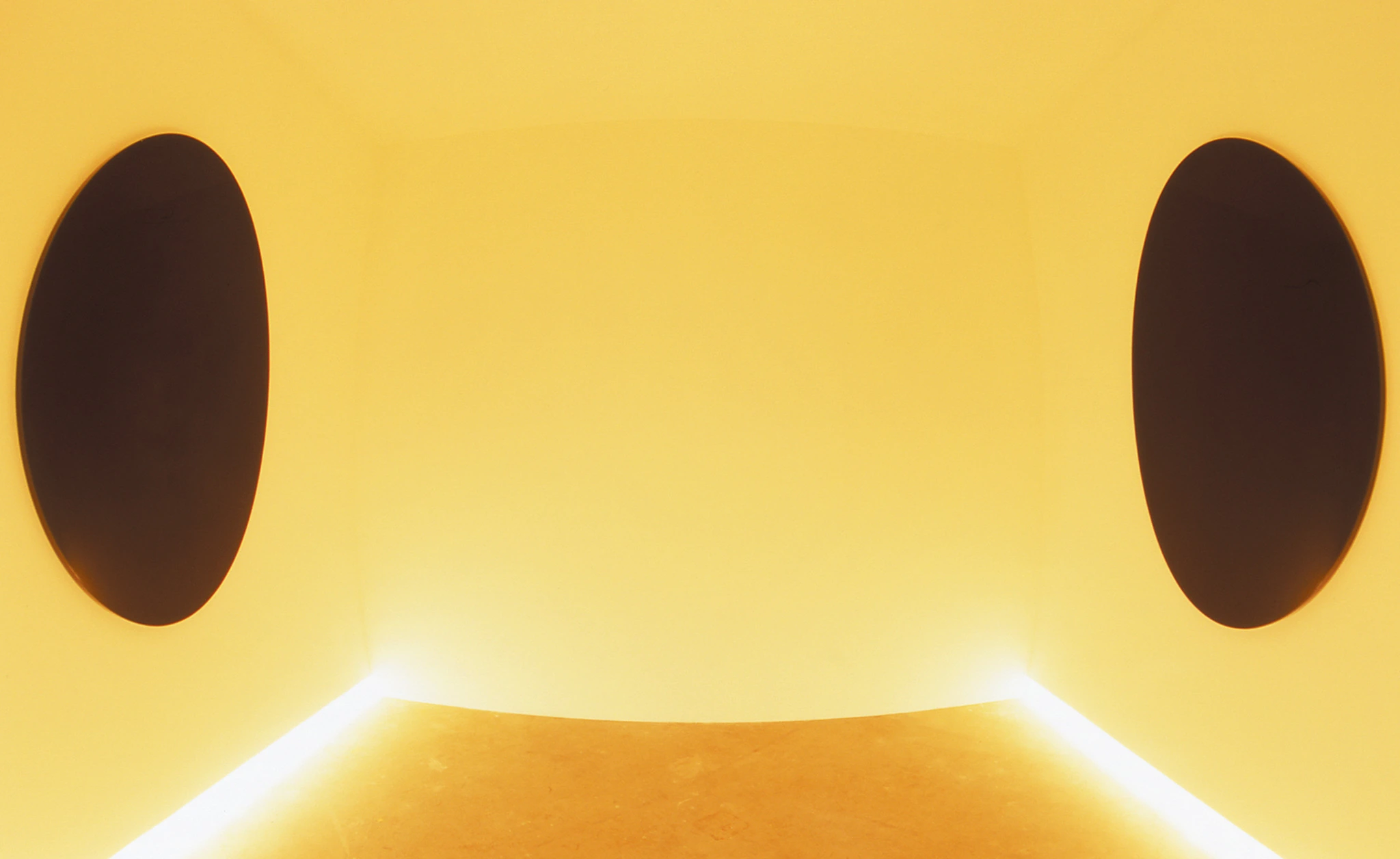 Interior view of Mirror to Mirror Mind to Mind, 2005