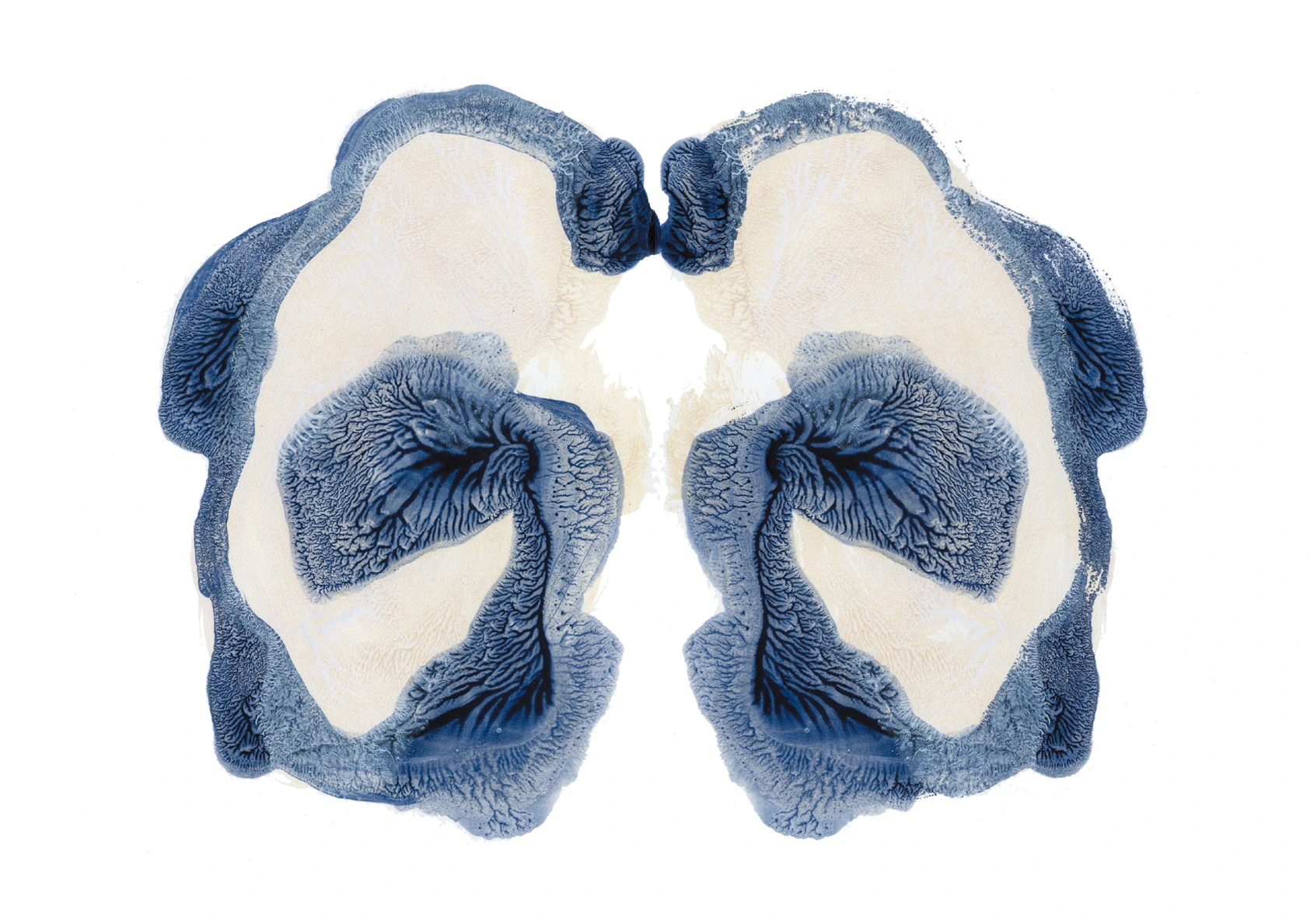 R.D.S-001, Rorschach Drawing Series