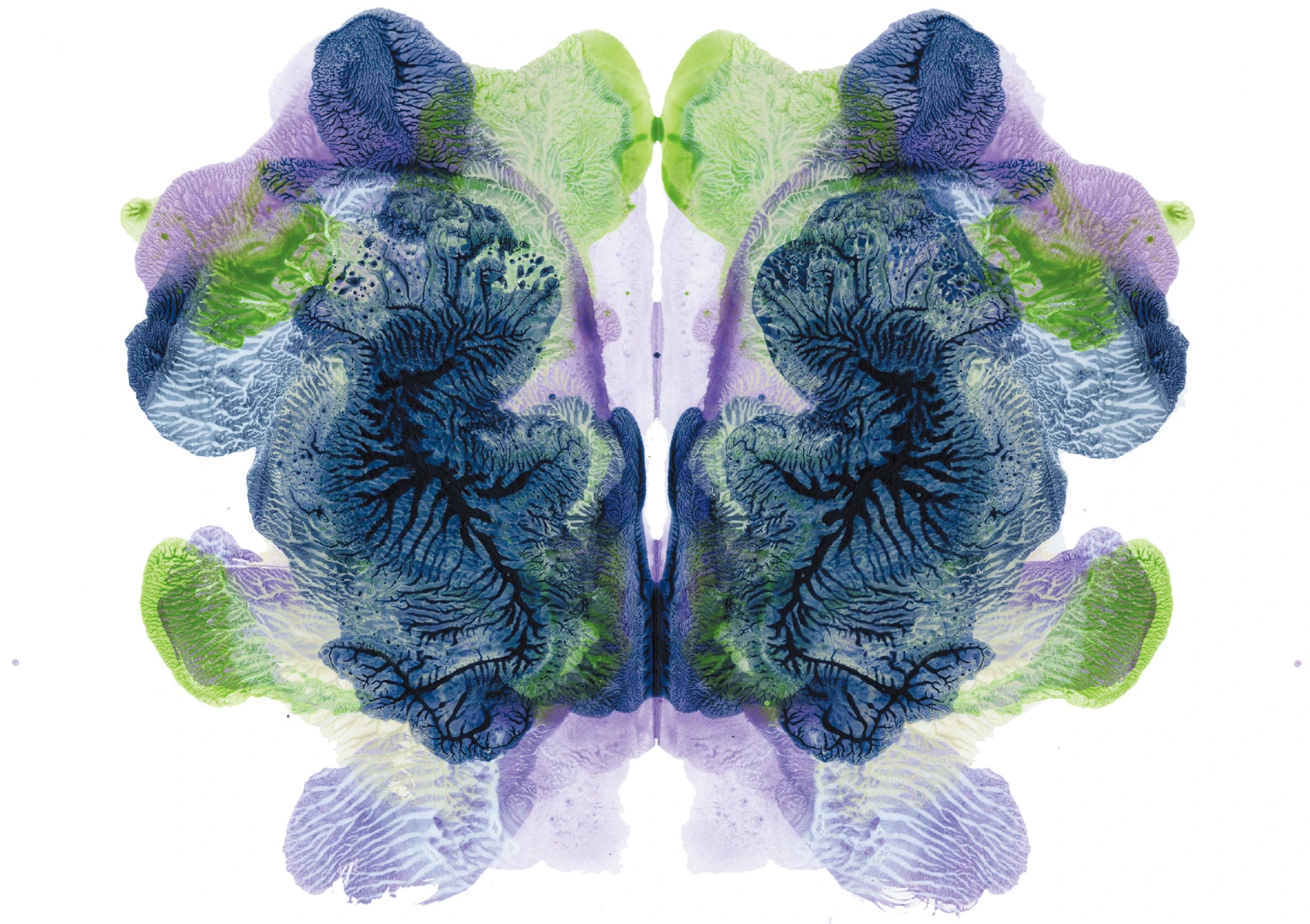 R.D.S-002, Rorschach Drawing Series