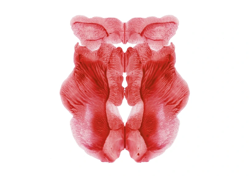 R.D.S-004, Rorschach Drawing Series