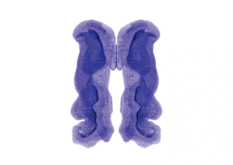 R.D.S-007, Rorschach Drawing Series