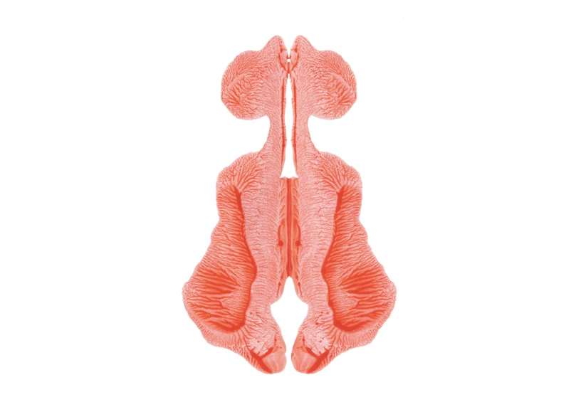R.D.S-008, Rorschach Drawing Series