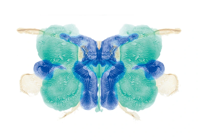 R.D.S-009, Rorschach Drawing Series