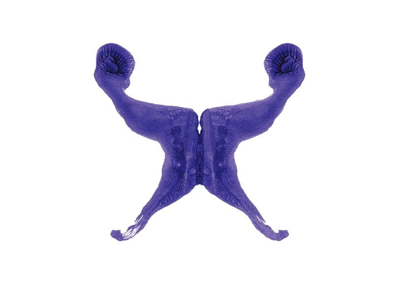 R.D.S-011, Rorschach Drawing Series