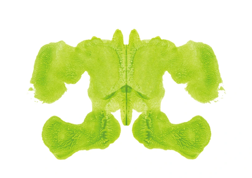 R.D.S-014, Rorschach Drawing Series