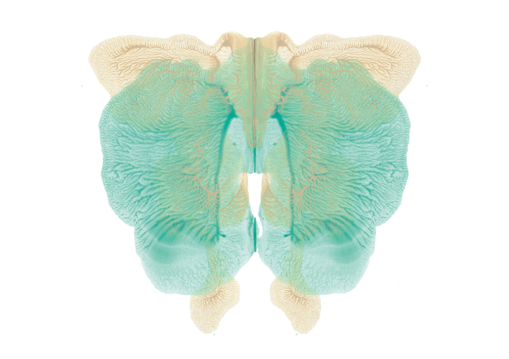 R.D.S-015, Rorschach Drawing Series