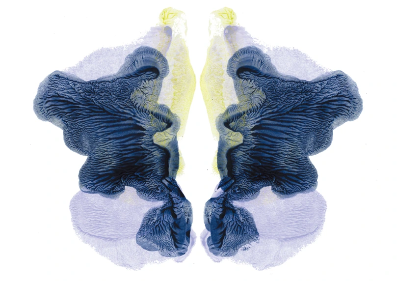R.D.S-036, Rorschach Drawing Series