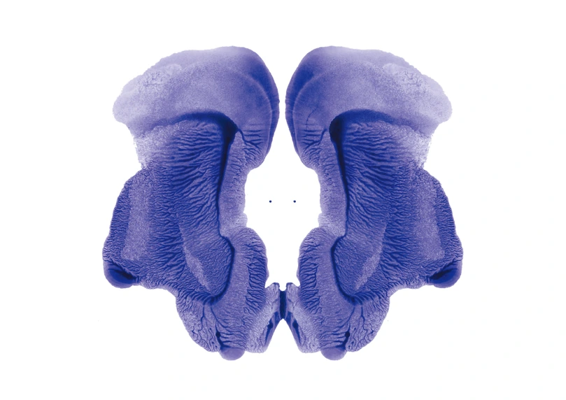 R.D.S-040, Rorschach Drawing Series