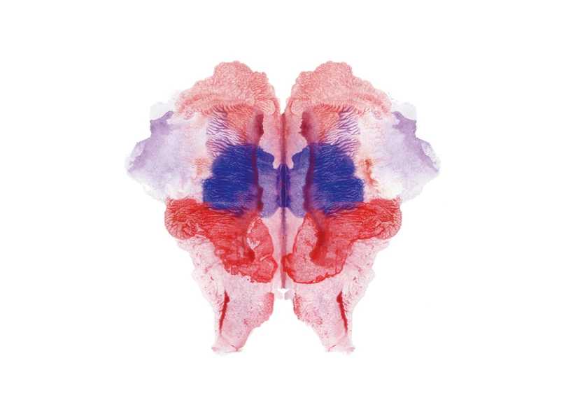 R.D.S-050, Rorschach Drawing Series