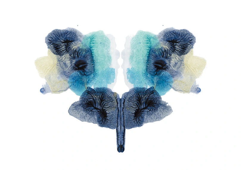 R.D.S-051, Rorschach Drawing Series