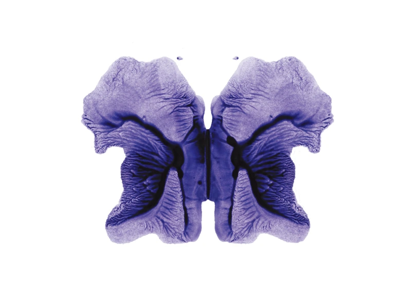 R.D.S-052, Rorschach Drawing Series