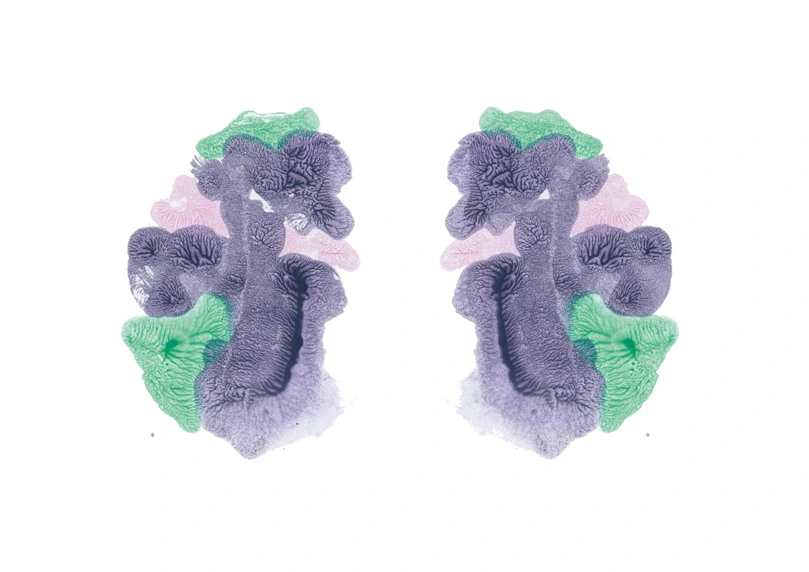 R.D.S-057, Rorschach Drawing Series